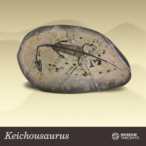 Keichousaurus_triassico