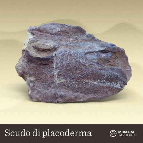 Placoderma_Devoniano